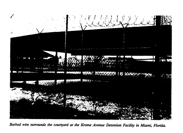 Hidden from View: Human Rights Conditions in the Krome Detention Center ...